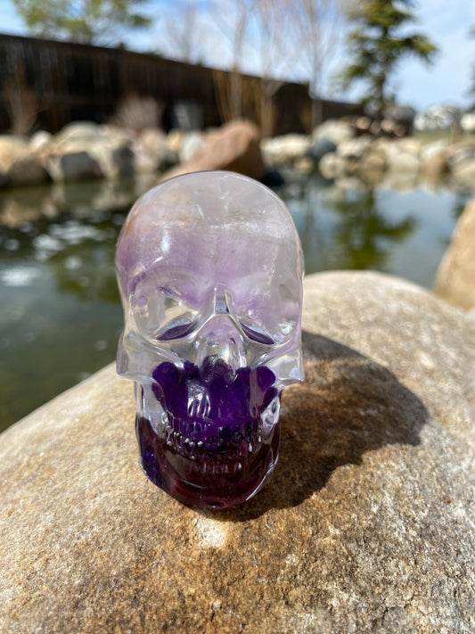 Joni Skull