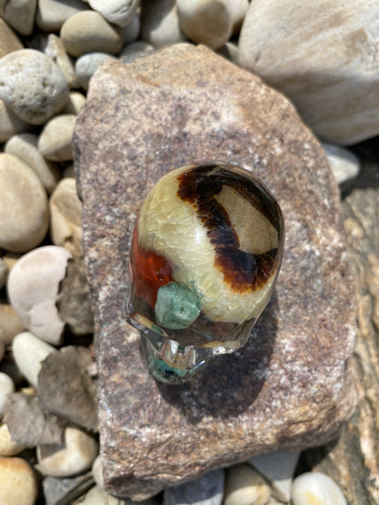 Gopher: Past Lives & Gopher Totem Mini Skull