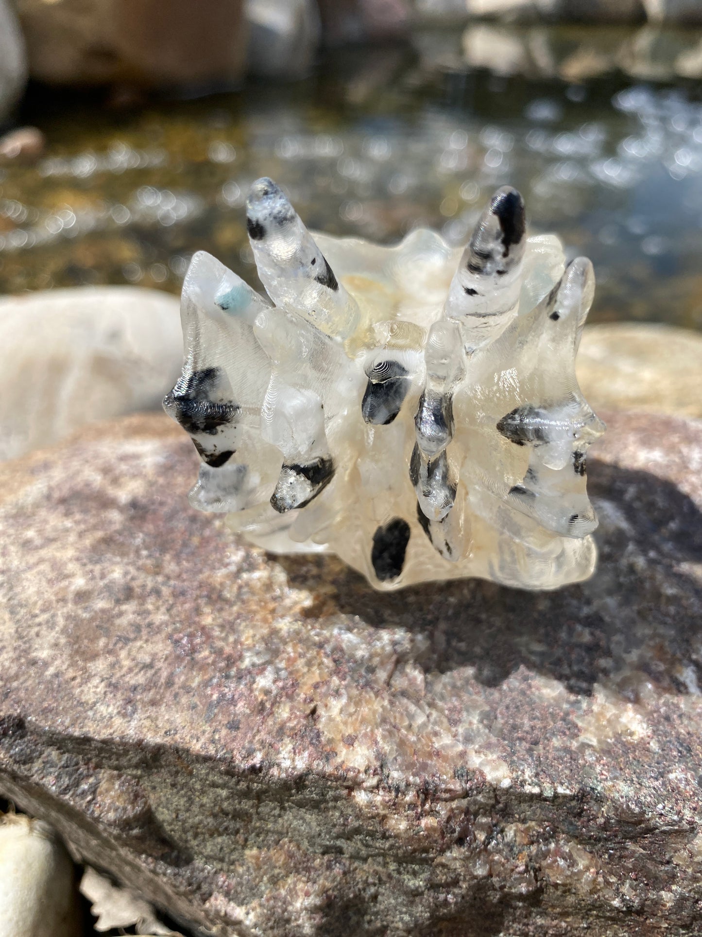 Shelley: Joy, Love & Harmony Mini Dragon