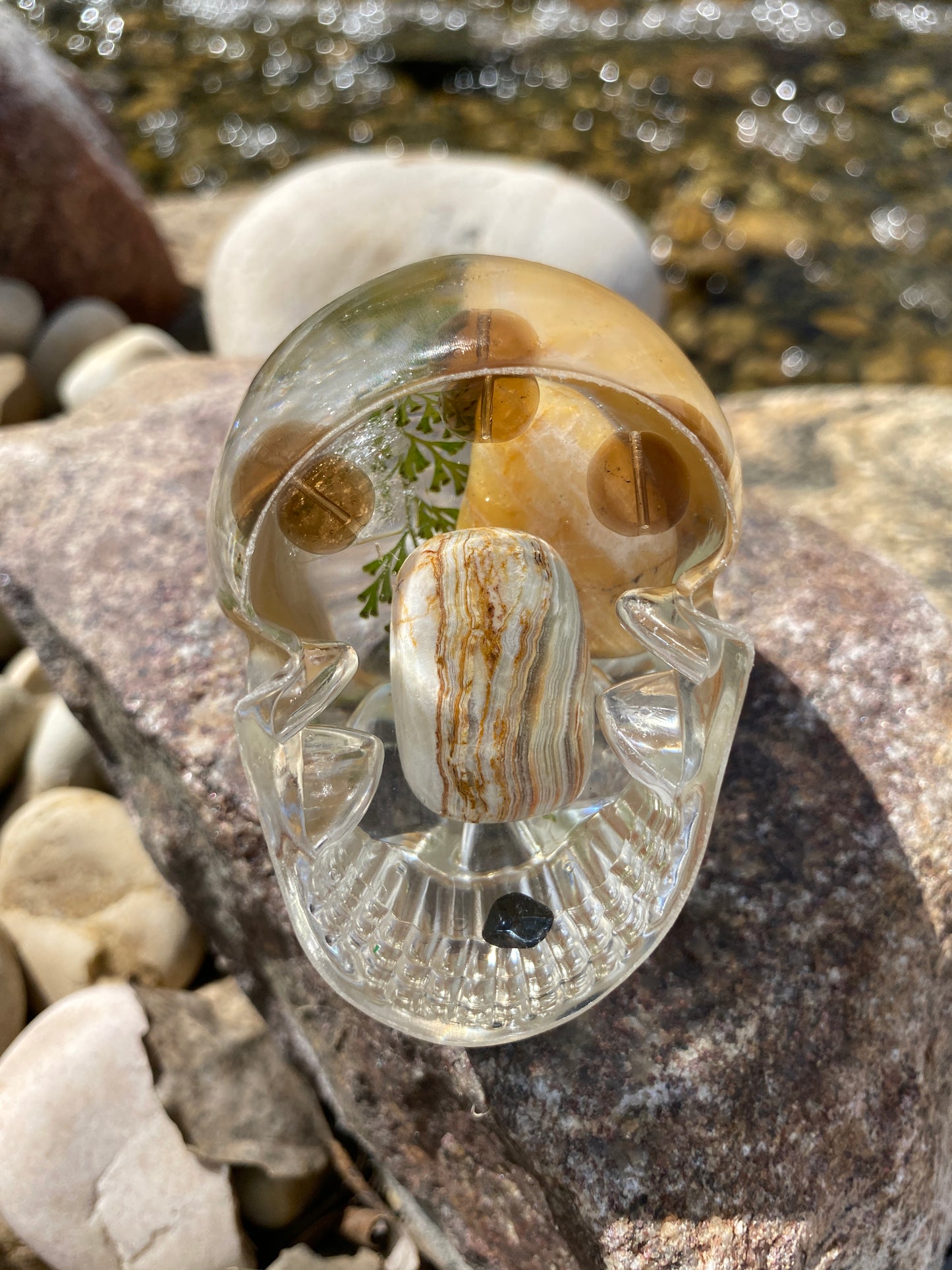 Rocky bottom