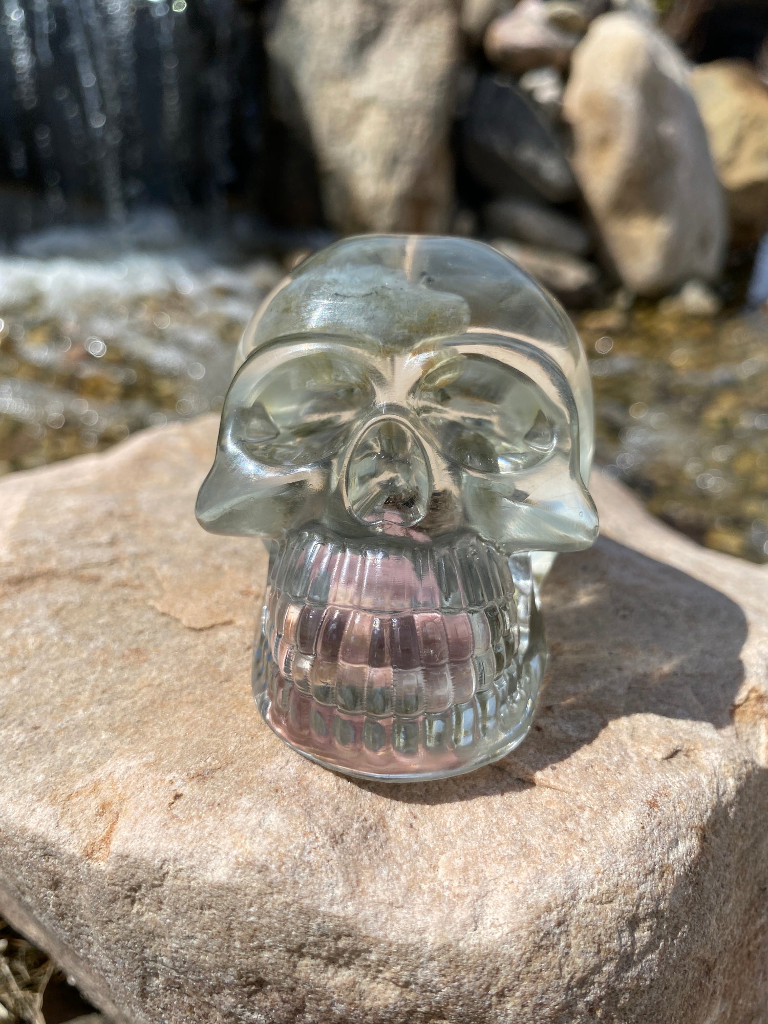 LuLu Skull
