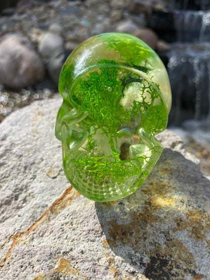 Helia: Abundance & Vitality Mini Skull