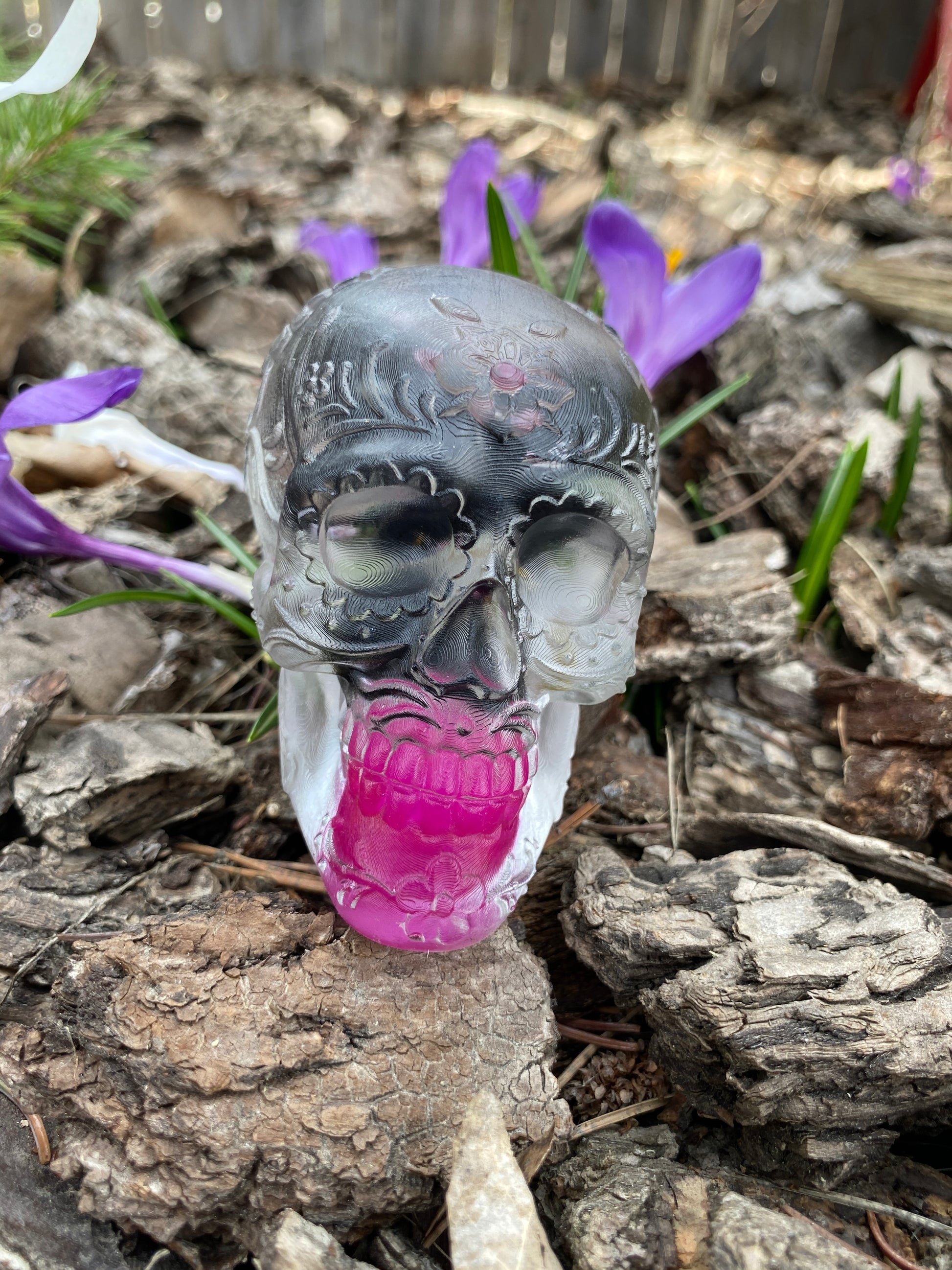 Maya Skull