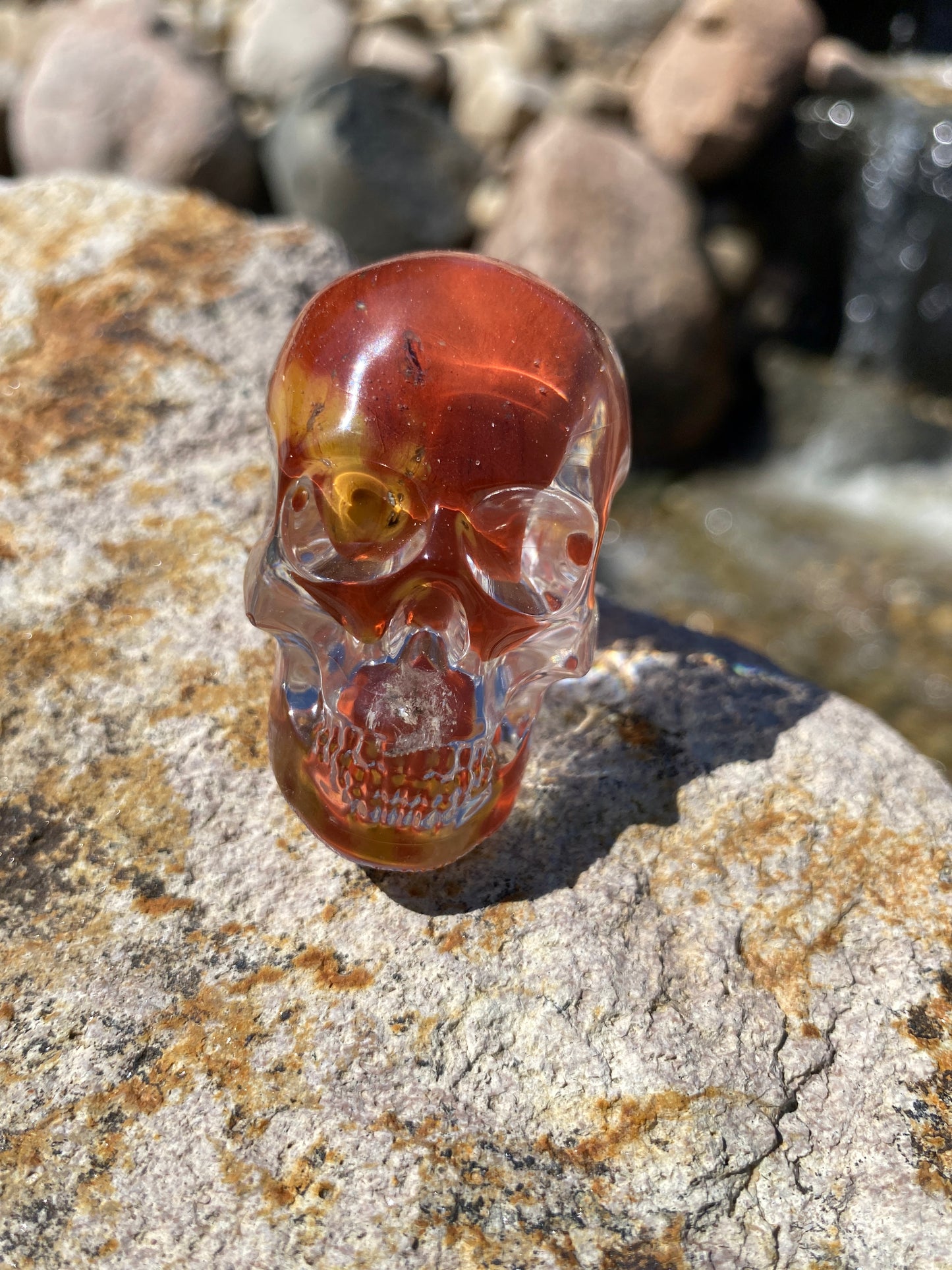Heinz Skull