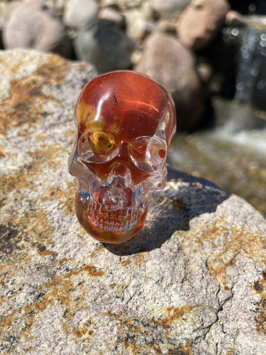 Heinz Skull