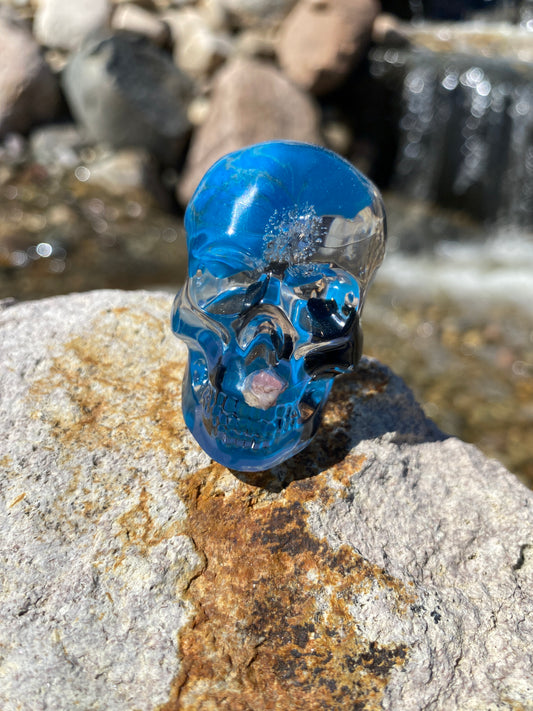 Ted Skull