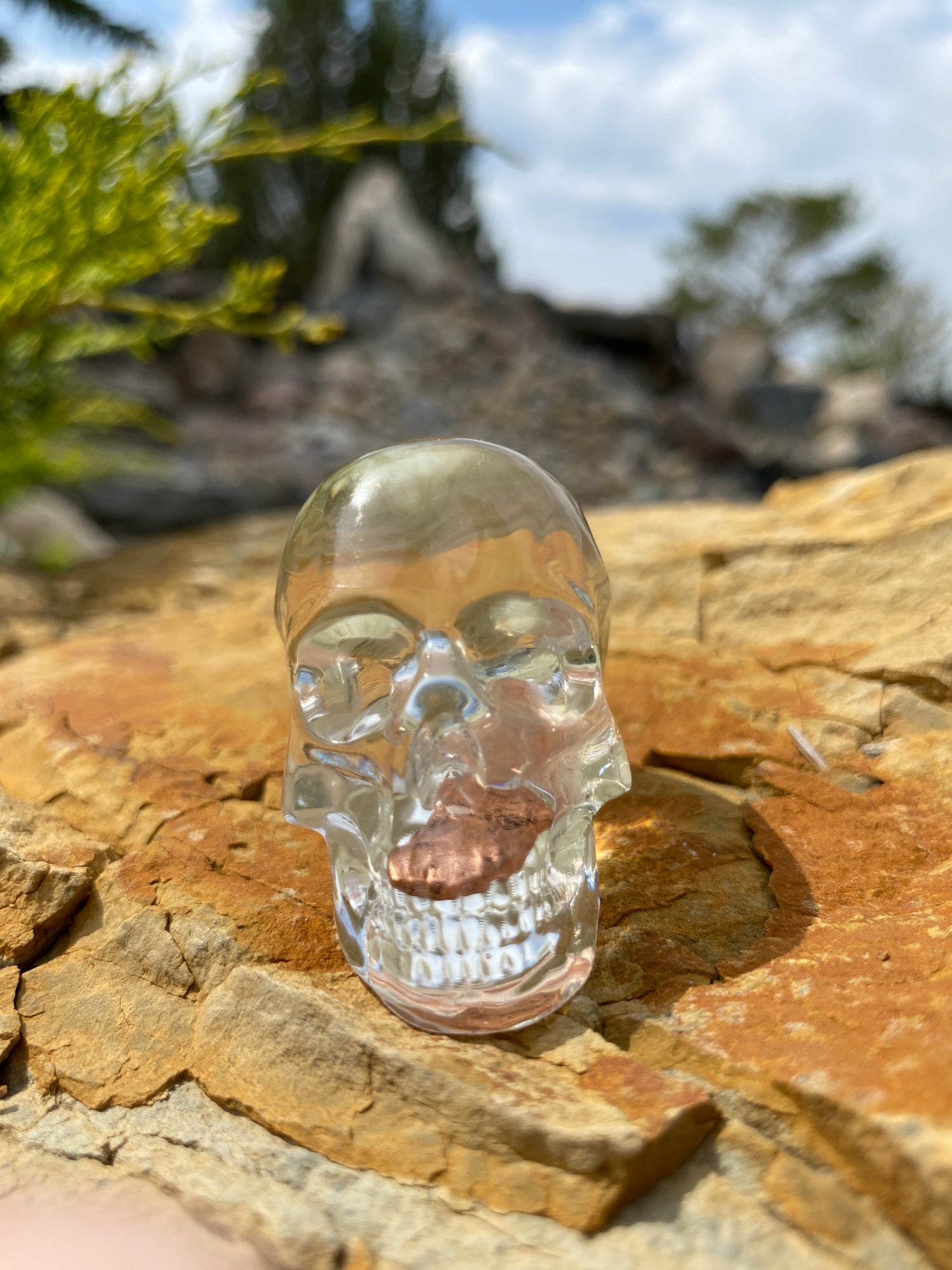 Miss Mae Skull