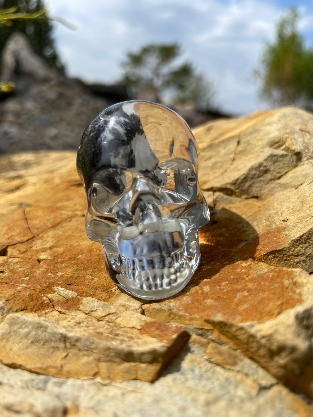 Mosely Skull