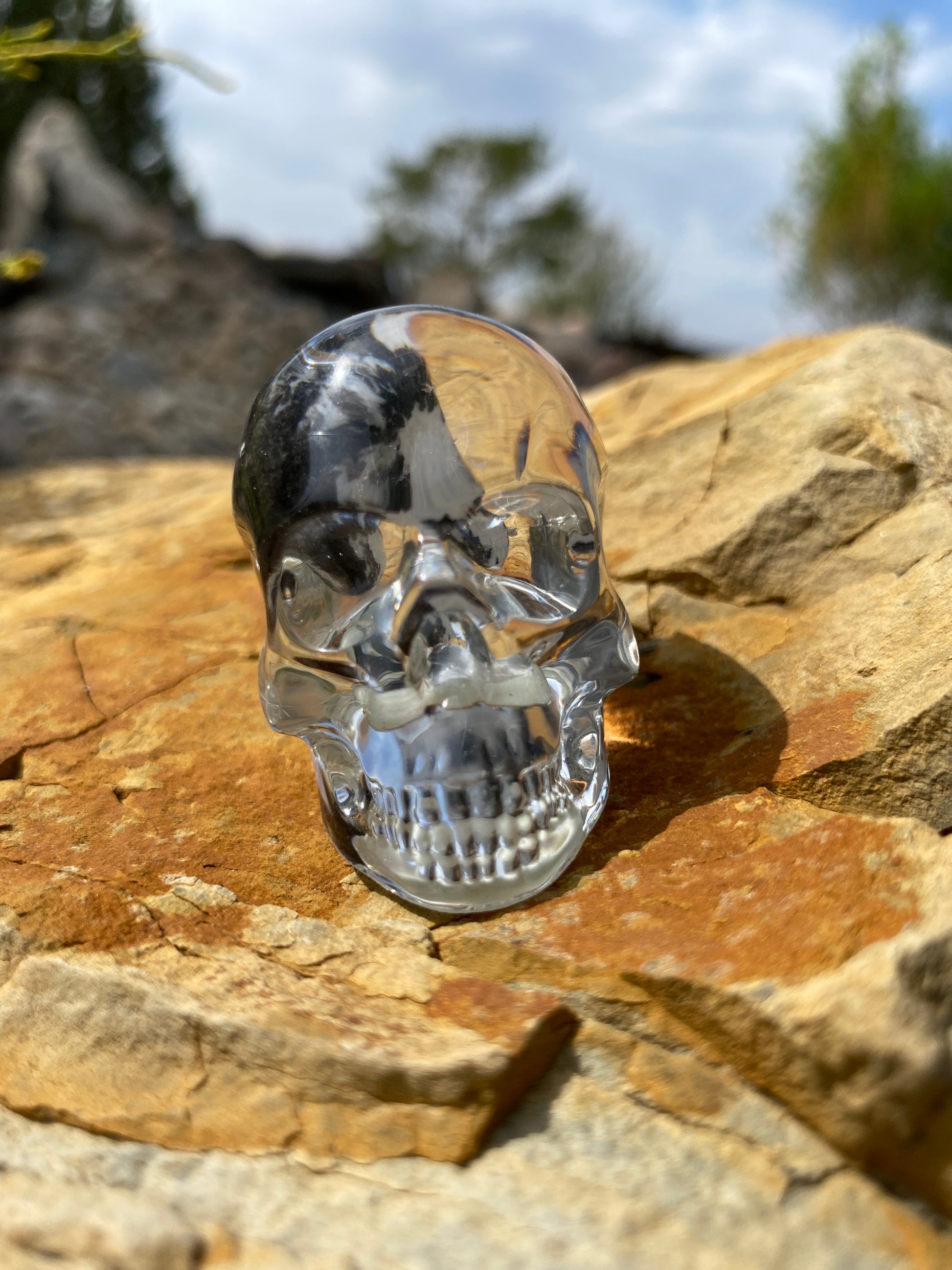Mosely Skull