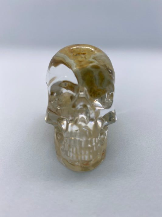 Riley Skull