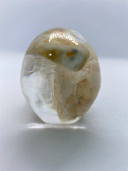 Riley Skull Back