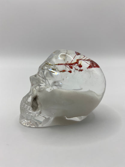 Shani Skull Left
