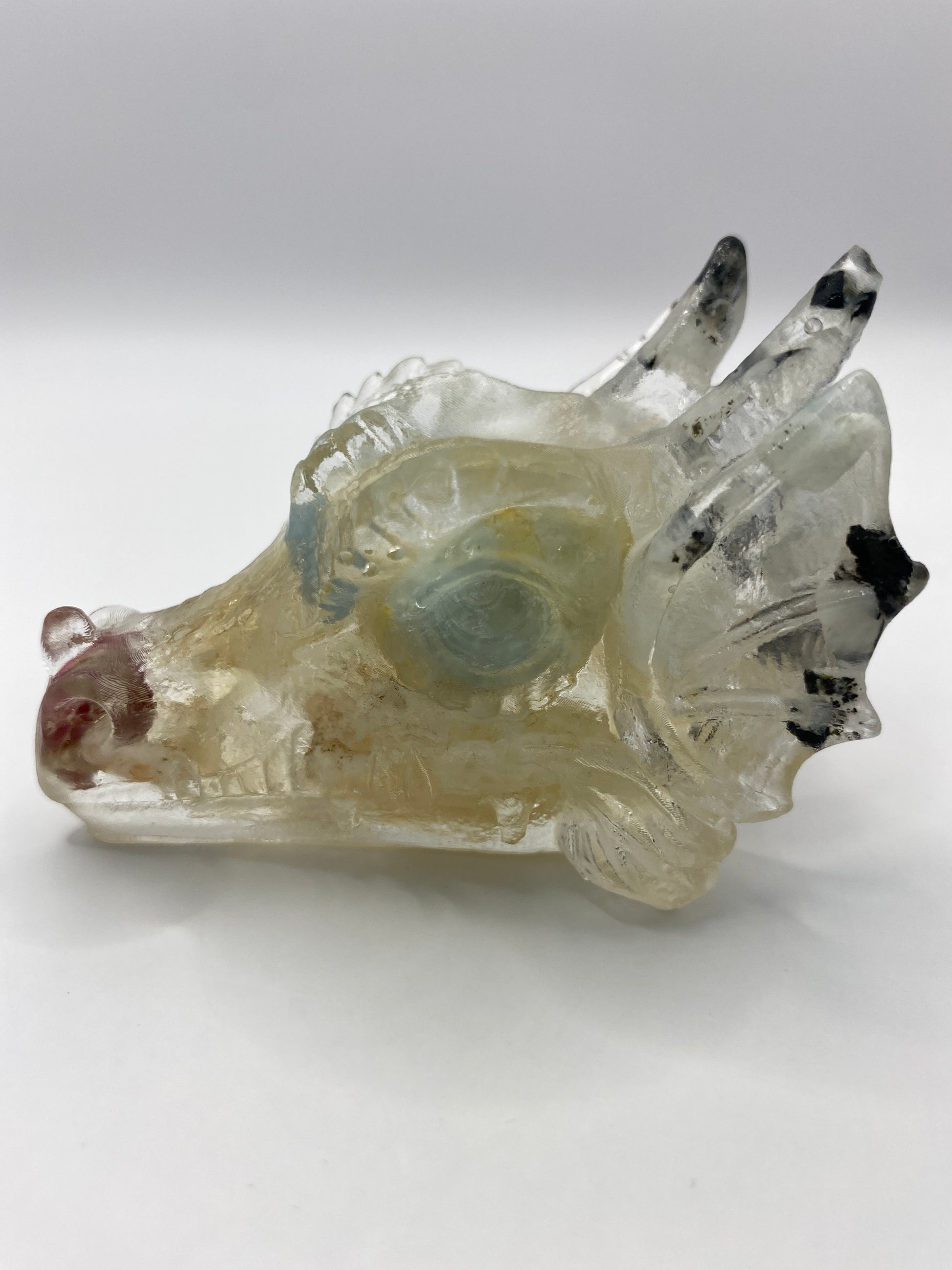 Shelley Dragon Left