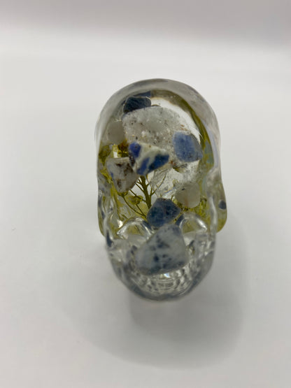 Teagan 11:11 Skull Bottom