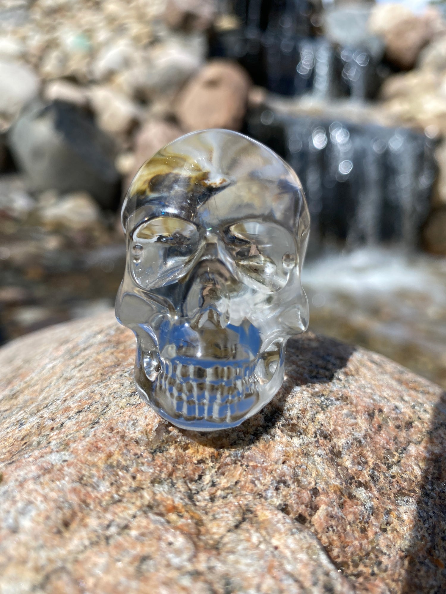 Timothy Skull