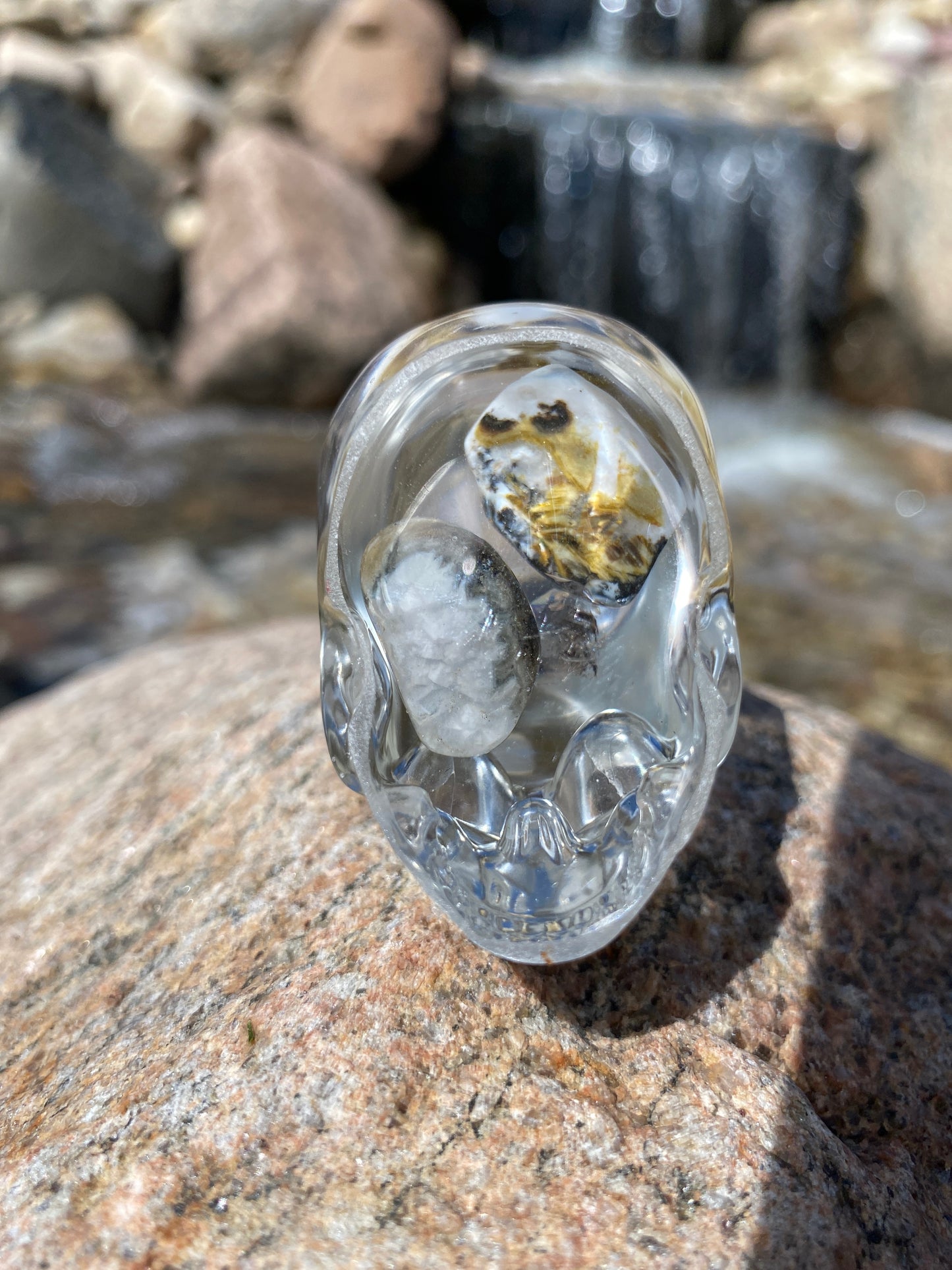 Timothy Skull bottom