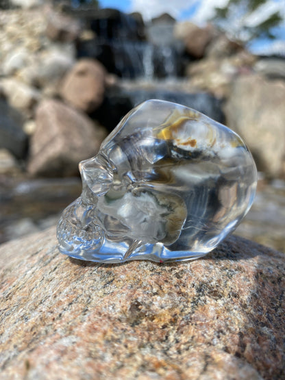 Timothy Skull left