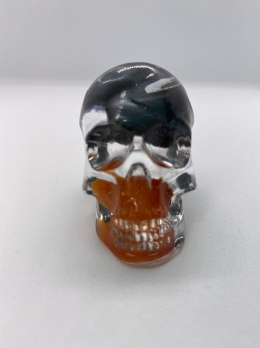 Vigo Skull