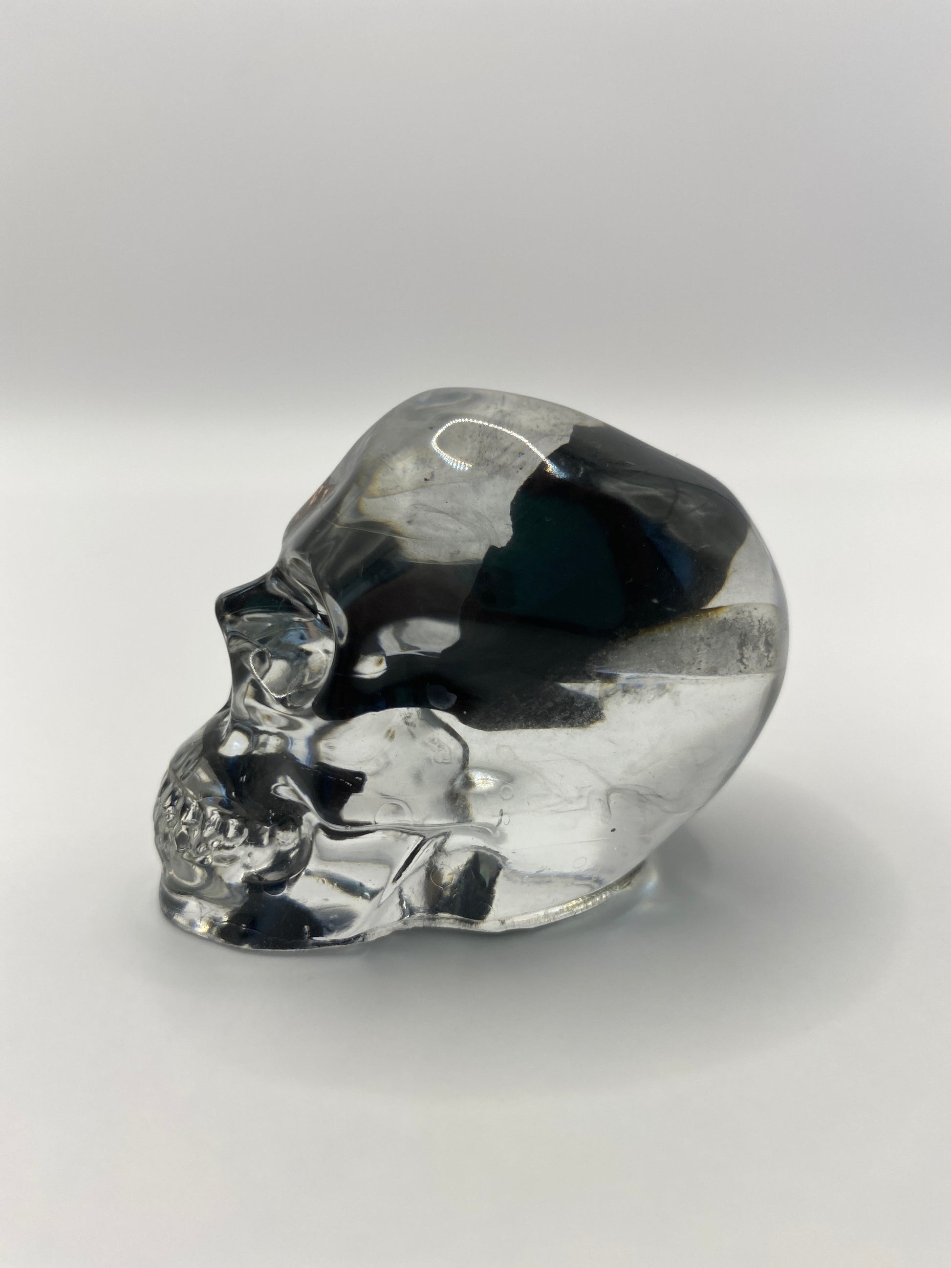 Wells Skull Left