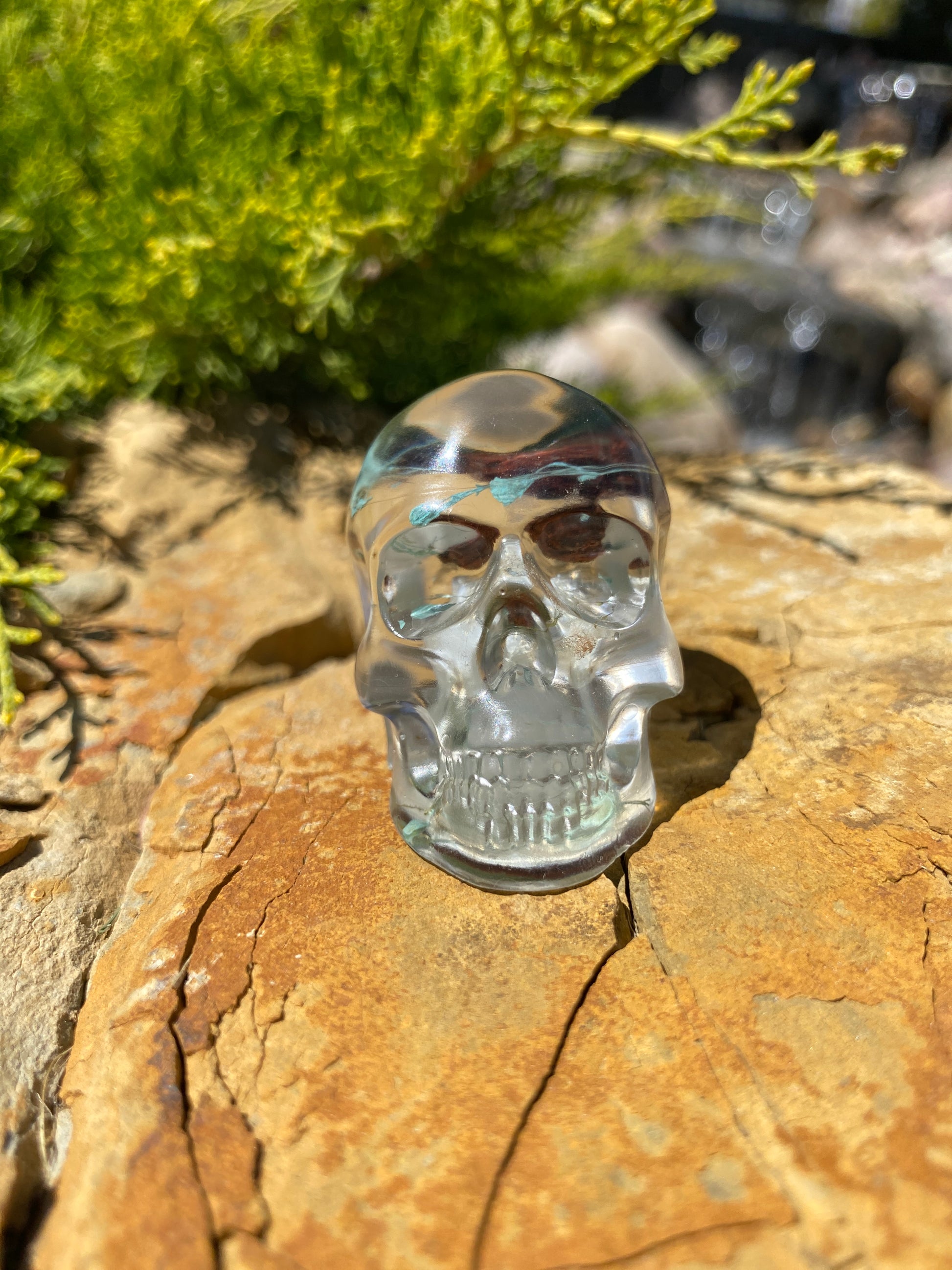 Wrenley Fairy Skull