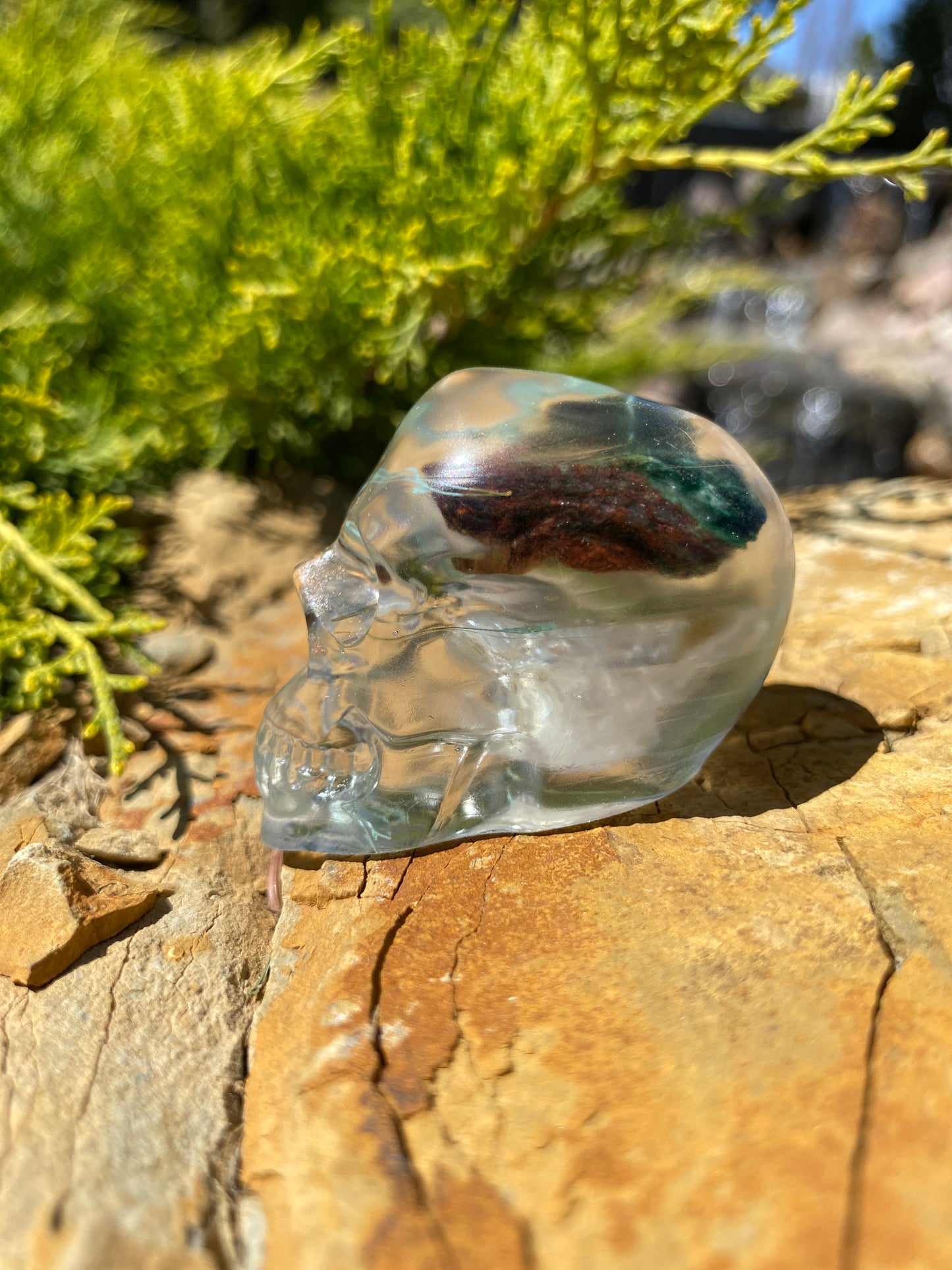Wrenley Fairy Skull left