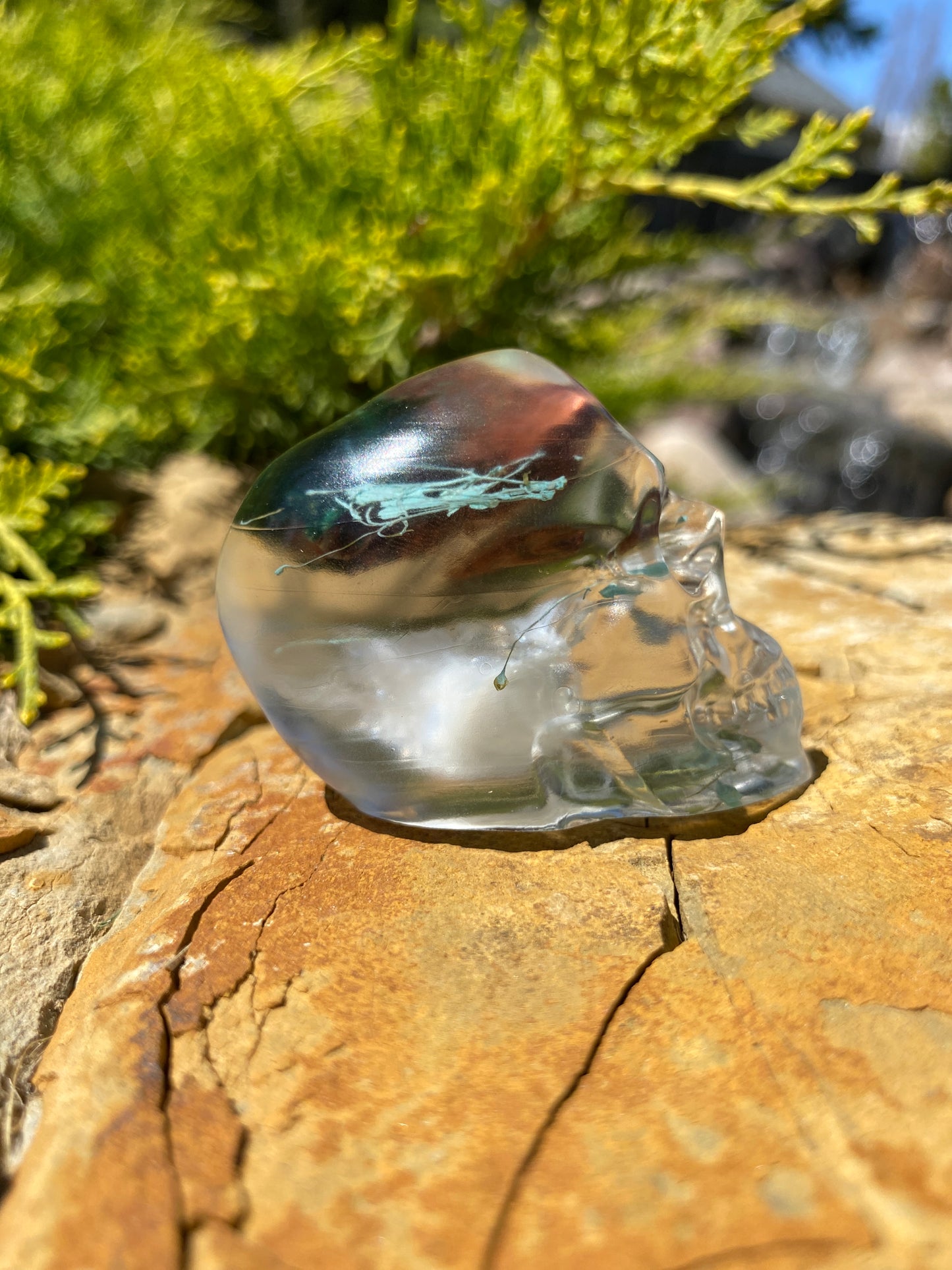 Wrenley Fairy Skull right