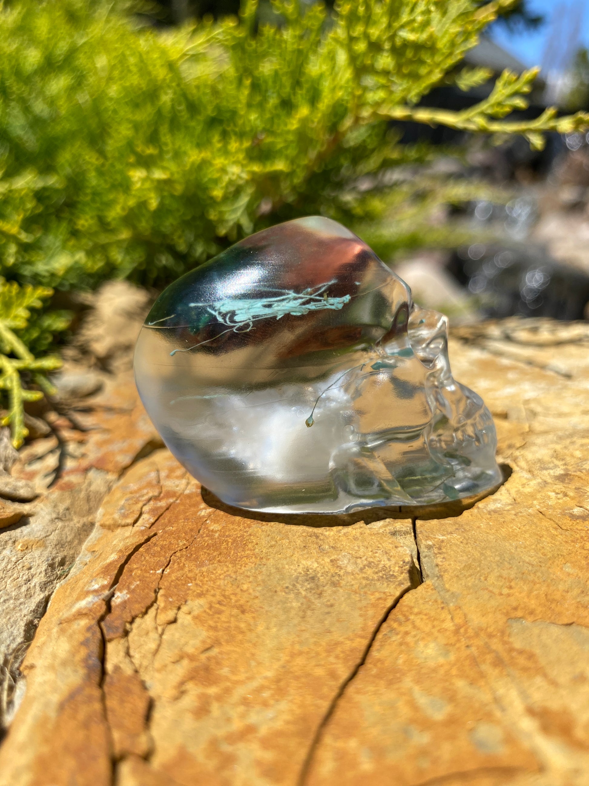Wrenley Fairy Skull right