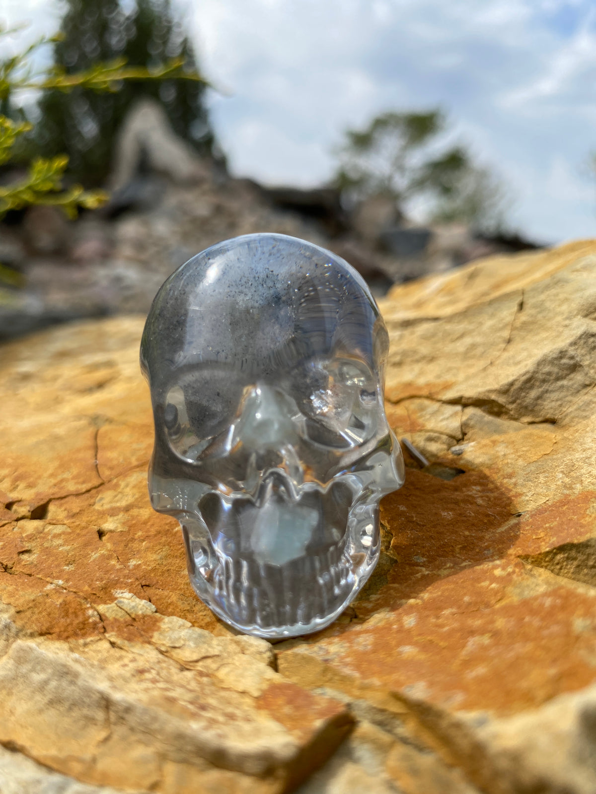 Zadie Skull