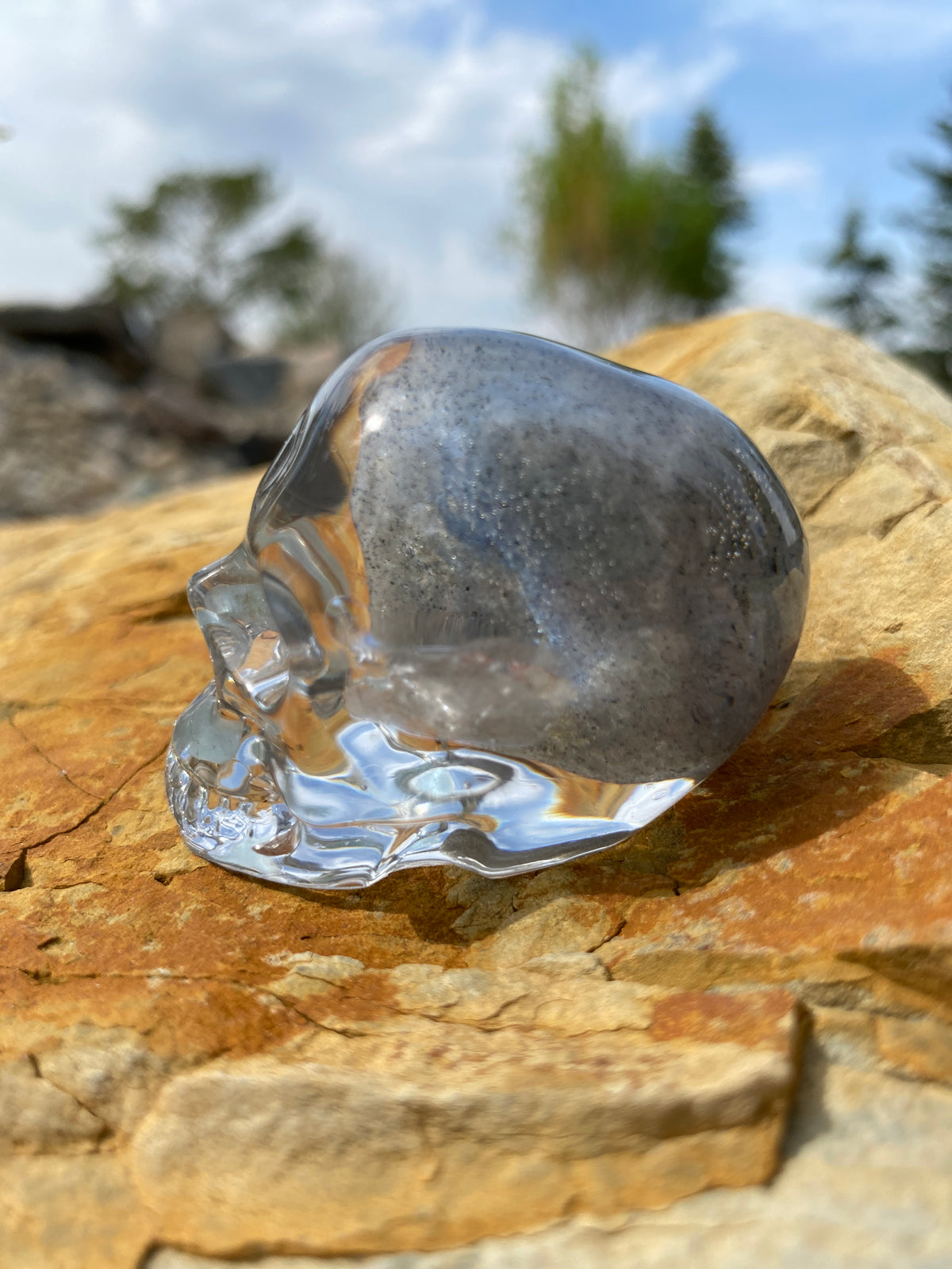 Zadie Skull left
